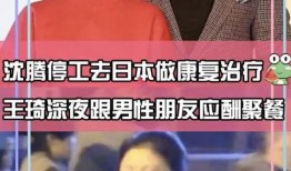 沈腾王琦最新爆料,揭秘娱乐圈幕后真相