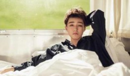 素人爆料王俊凯视频,揭秘明星私下真实生活